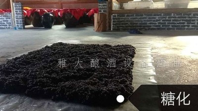 簡單10步教您用白酒生產(chǎn)設備釀出美味黑糯米酒，趕緊來看看！