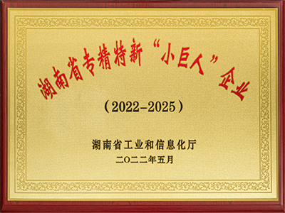 湖南省專精特新“小巨人”企業(yè)